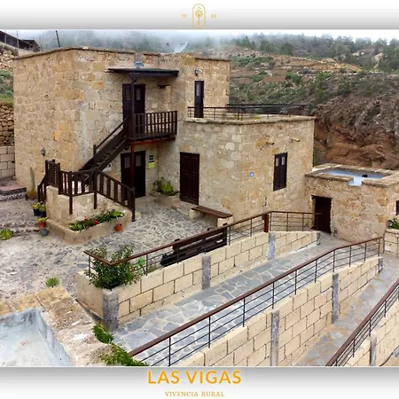 Vigas Arico Viejo