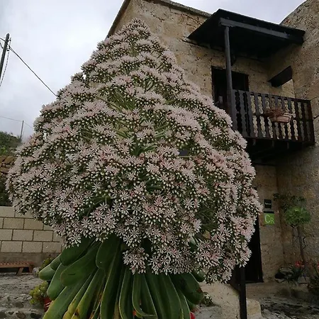 Vigas Landhuis Arico Viejo