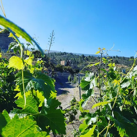 Vigas Kır Evi Arico Viejo