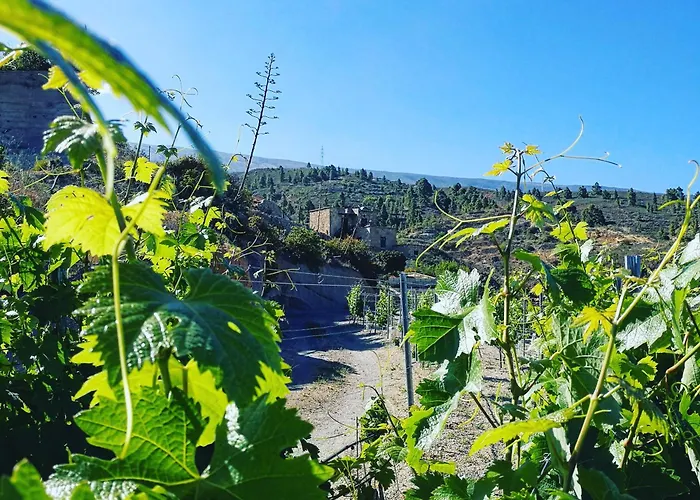 Vigas Kır Evi Arico Viejo